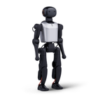 Robot umanoide FF Master Mini Pro