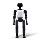 Robô humanoide FF Master Mini