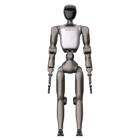 Robô humanoide Booster T2 Professional P2