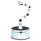 Robot composite Realman Robotics RMC-BA