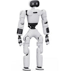 AGIBOT X1-W İnsansı Robot
