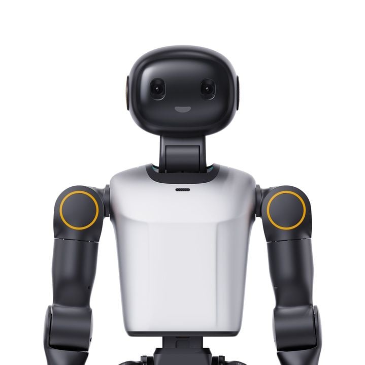 Booster Robotics K1 Professional Edition Humanoid Robot