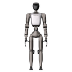 Robot humanoide Booster T2 Professional P3