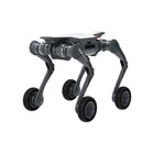 Deep Robotics LYNX الكل