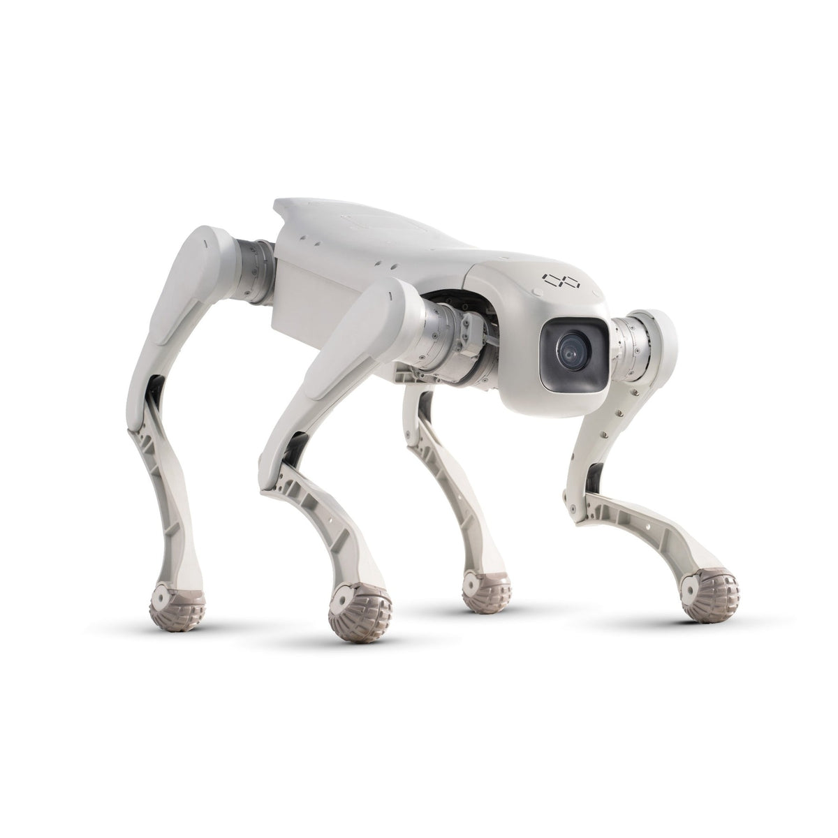 FX Aegis Pro Robot Dog