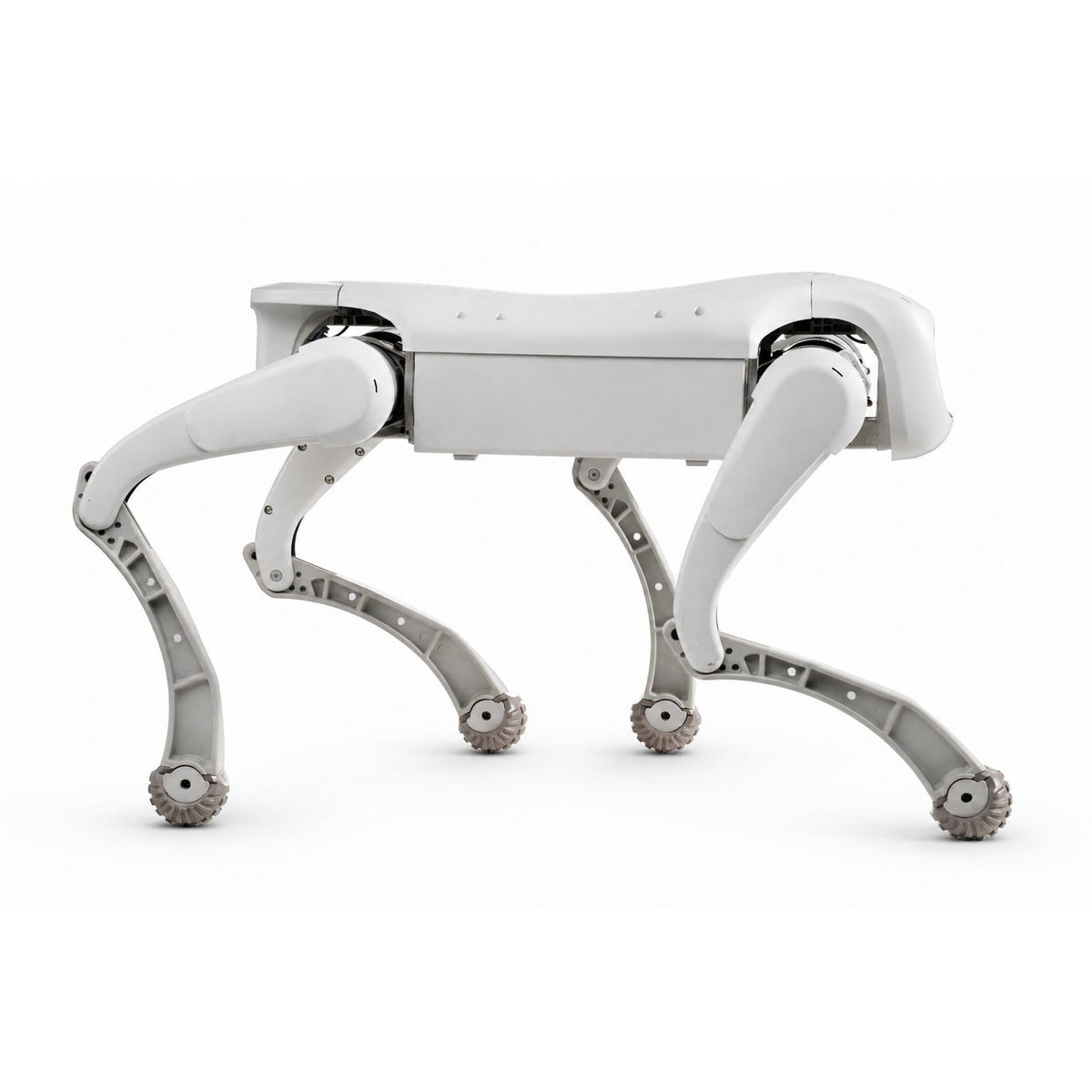 FX Aegis Pro Robot Dog