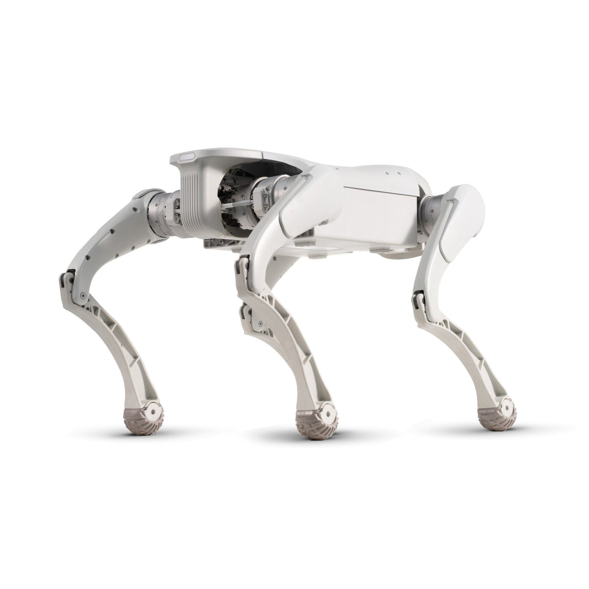 FX Aegis Robot Dog
