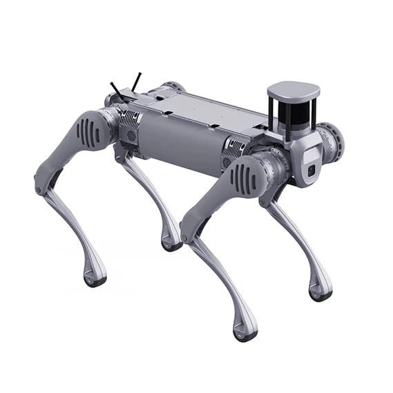 Unitree Robotics B2 Quadruped Robot Dog
